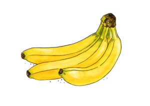 Banane Weltacker