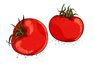 Tomaten Weltacker