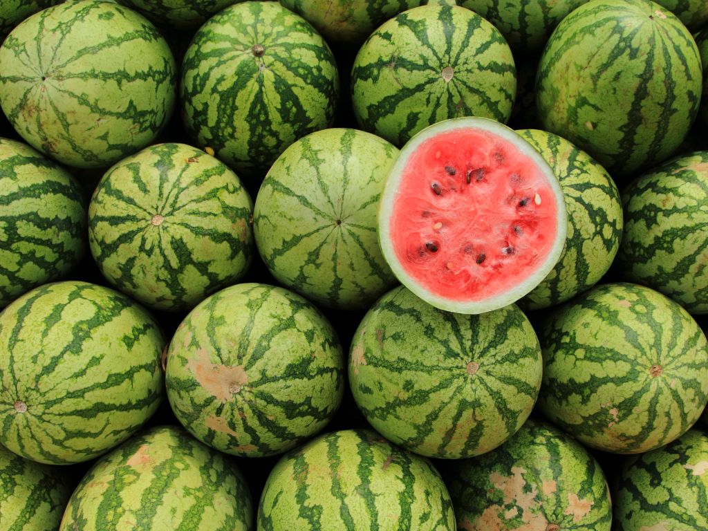 Einige grüne Wassermelonen liegen nebeneinander - eine von ihnen aufgeschnitten. Zu sehen ist das rote Fruchtfleisch mit schwarzen Kernen.