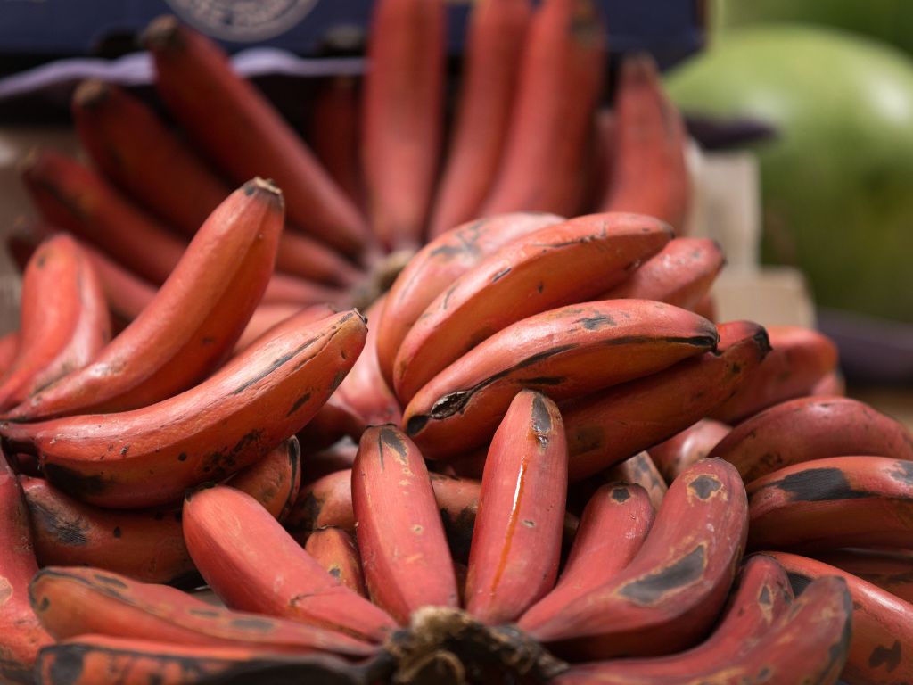 Mehrere reife dunkelrote Bananen mit schwarzen Flecken