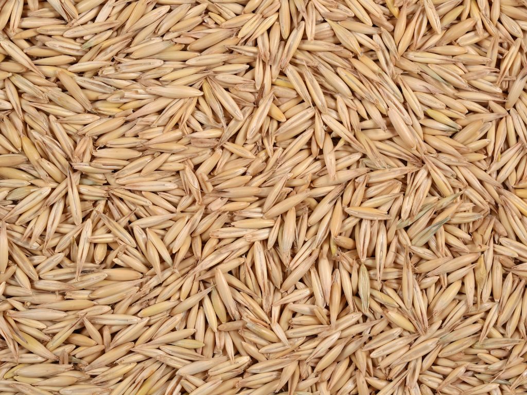 längliche Haferkörner mit Spreu