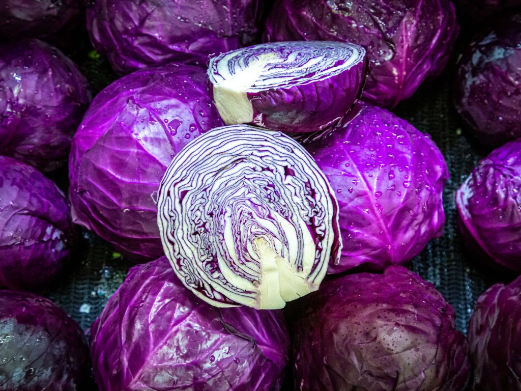 mehrere Rotkohl-Köpfe, außßen violett, ein Kopf ist halbiert