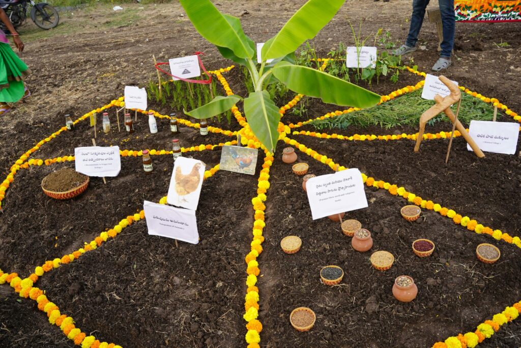 A circle of flower chains is laid out on the ground, divided into 9 sections. Each section contains a sign with a principle and symbols for this principle - for example, a wrapped hoe for the principle of “minimum tillage”