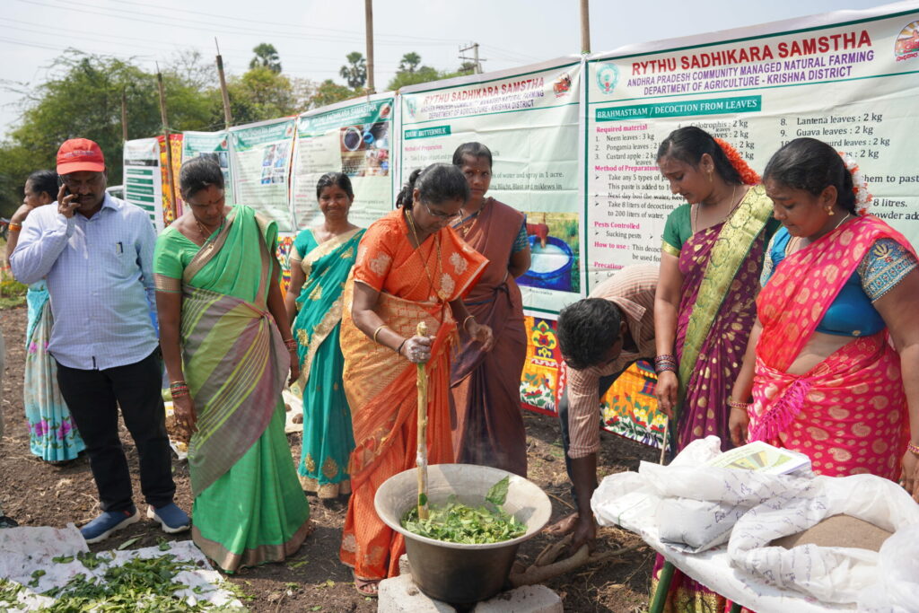 Several women in saris stir boiling green leaves in a large metal bowl