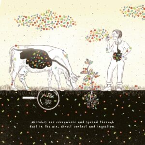The illustration shows that microorganisms are everywhere. In the soil, on roots, in the stomach of a cow, in the air and also in the stomach of humans. Also everywhere on the skin and surface.