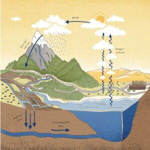 The water cycle is shown. From evaporation and waking, to precipitation, infiltration and groundwater reflux.