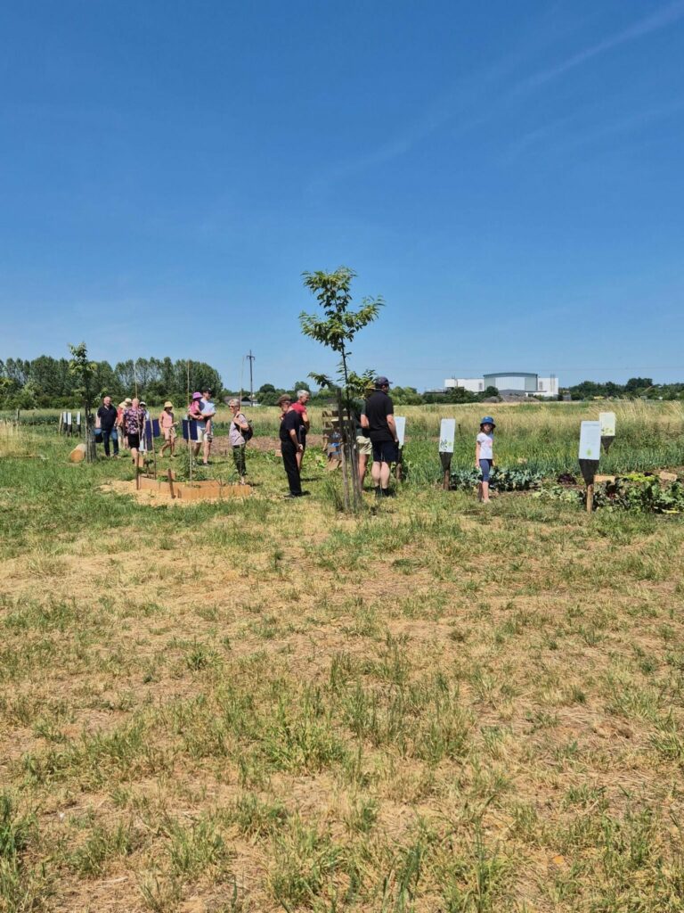 Eine Gruppe Menschen läuft über den Weltacker in Bamberg und betrachtet Pflanzen und Schilder.