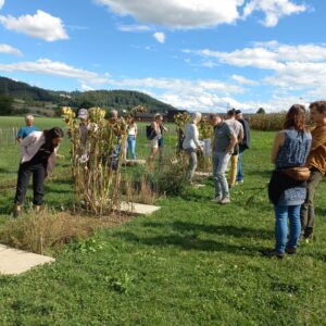 Verschiedene erwachsene Personen betrachten das Flächenbuffet auf dem Weltacker.