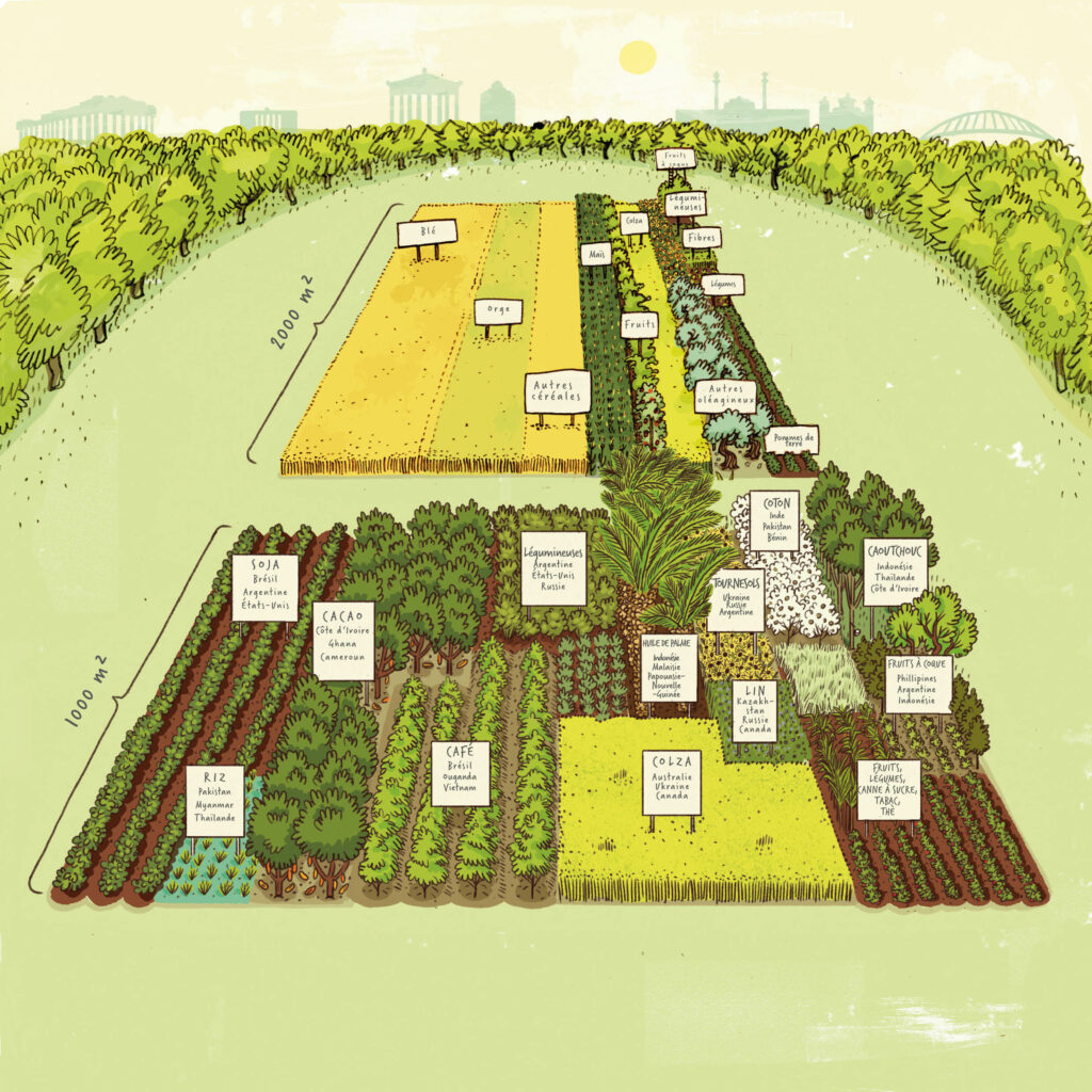 On y voit 2000 m² de cultures qui poussent en Europe et un champ de 1000 m² d'importations européennes.