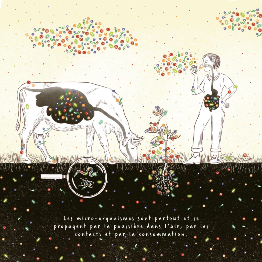 L'illustration montre qu'il y a des micro-organismes partout. Dans le sol, sur les racines, dans l'estomac d'une vache, dans l'air et aussi dans l'estomac de l'homme. En outre, partout sur la peau et la surface.
