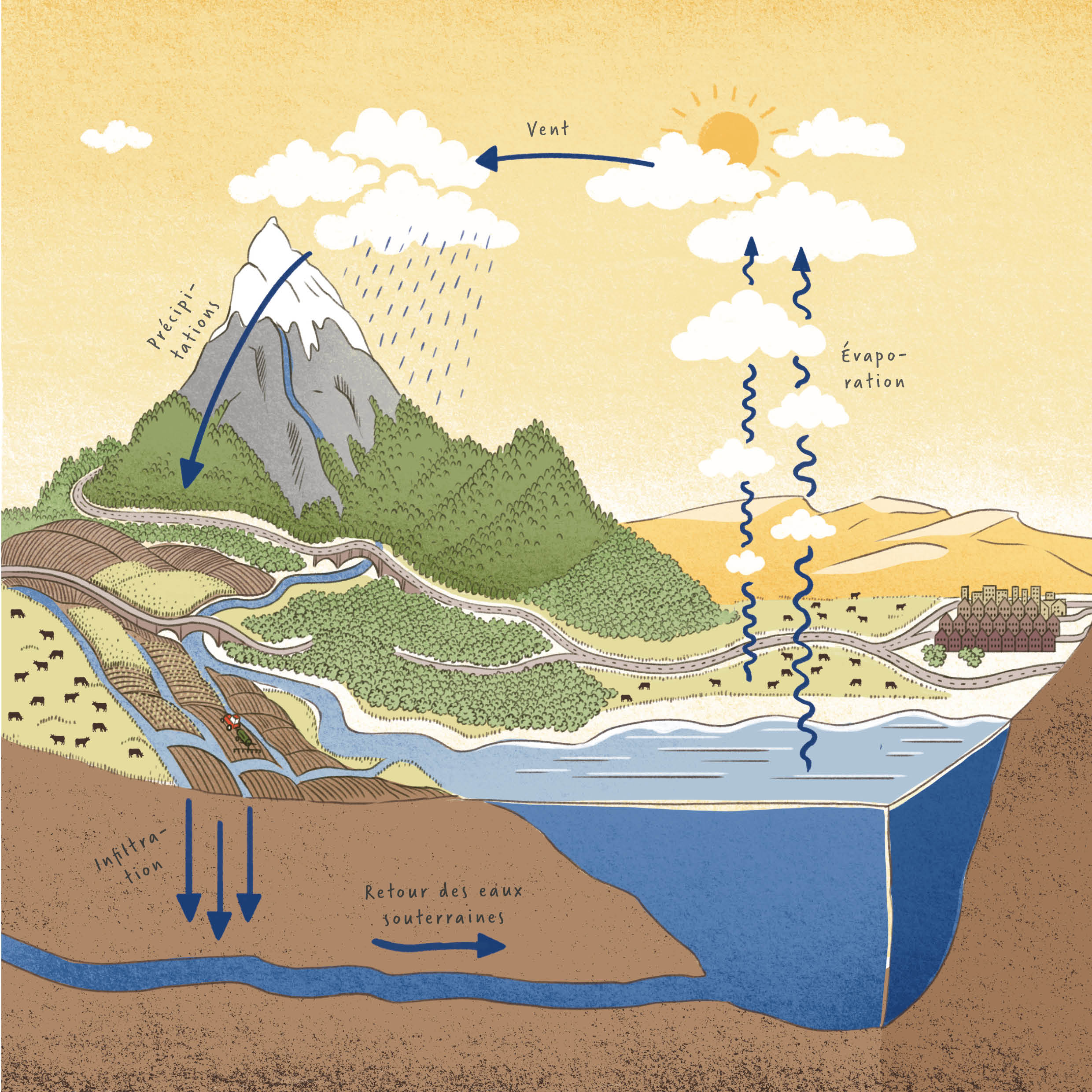 Le cycle de l'eau est représenté. De l'évaporation et la formation de nuages, aux précipitations, à l'infiltration et au retour des eaux souterraines.
