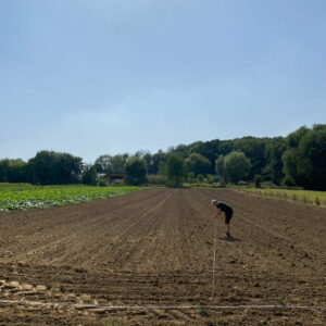 Auf einem frisch gepfügten Acker misst ein Mann Flächen aus.