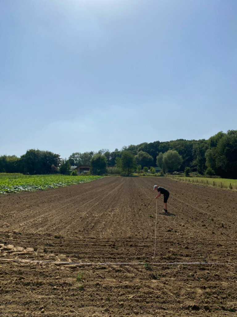 A man measures out areas on a freshly tilled field.  