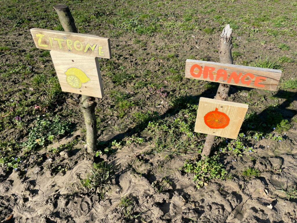 A wooden sign with a painted lemon, above it the inscription lemon, a wooden sign with an orange.  
