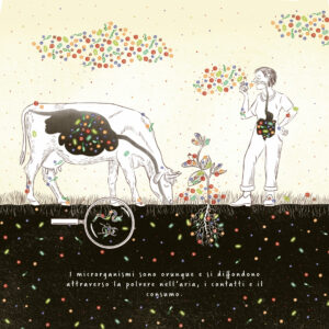 L'illustrazione mostra che i microrganismi sono ovunque. Nel suolo, sulle radici, nello stomaco di una mucca, nell'aria e anche nello stomaco degli esseri umani. E ovunque sulla pelle e sulla superficie.