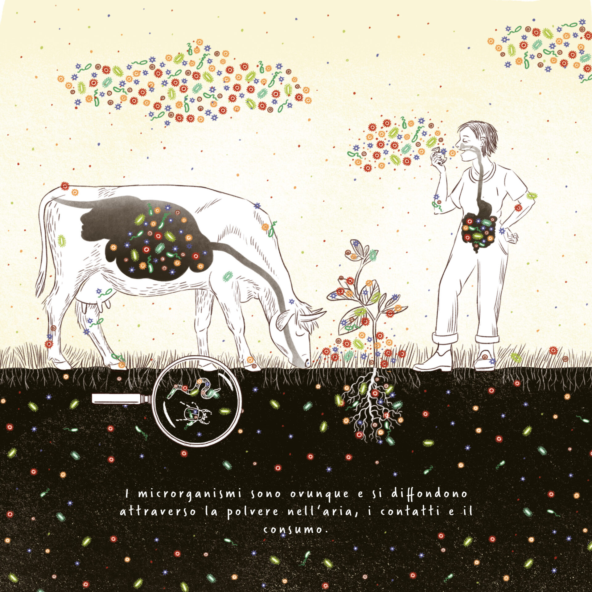 L'illustrazione mostra che i microrganismi sono ovunque. Nel suolo, sulle radici, nello stomaco di una mucca, nell'aria e anche nello stomaco degli esseri umani. E ovunque sulla pelle e sulla superficie.