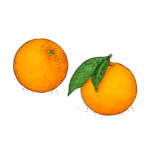 Orange Weltacker