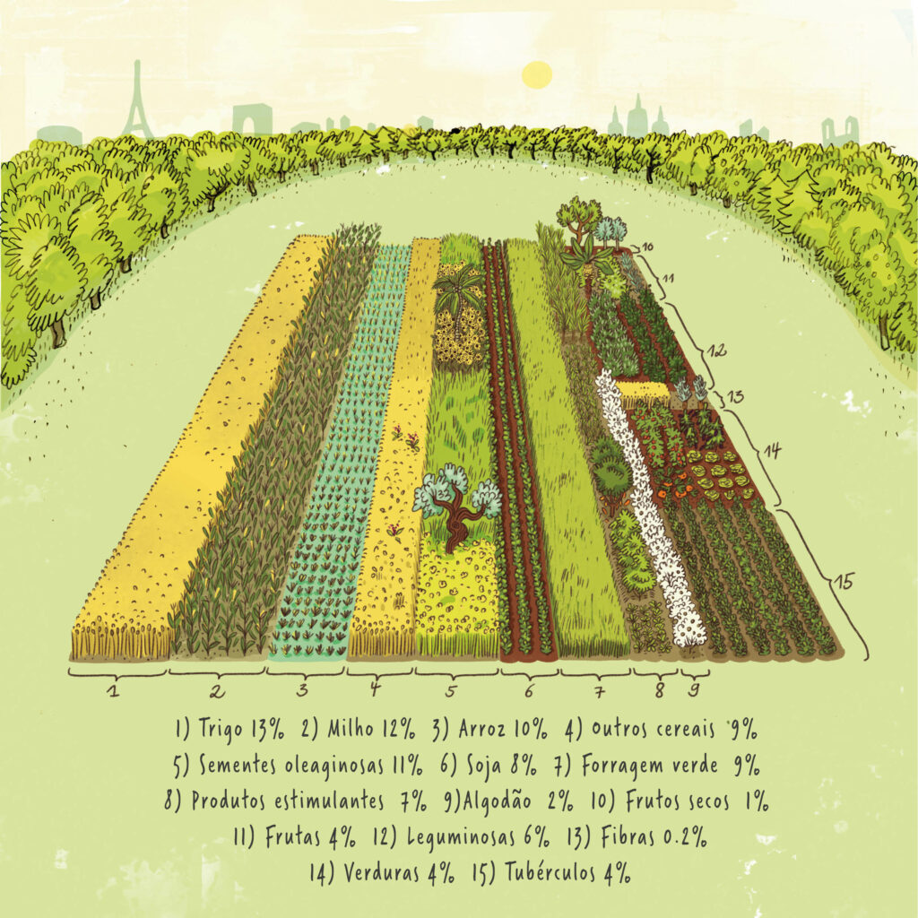 Apresenta os seguintes rácios de superfície: trigo 13%, milho 12%, arroz 10%, outros cereais 9%, oleaginosas 11%, soja 8%, forragens verdes 7%, algodão 2%, frutos de casca rija 1%, frutos 4%, leguminosas 6%, fibras 0,2%, produtos hortícolas 4% e culturas arvenses 4%.