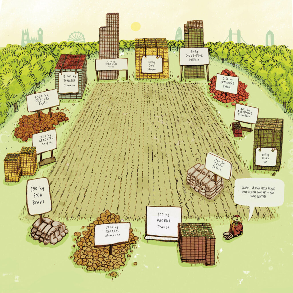 Apresenta os diferentes rendimentos que podem ser colhidos em 2000 m². Por exemplo, 2500 kg de feijão verde em França, 8500 kg de batatas na Alemanha, 2200 kg de abacates em Chipre ou 8500 kg de cenouras na Finlândia.