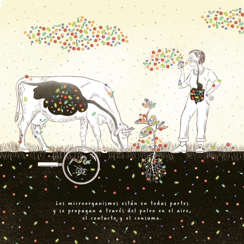 A ilustração mostra que os microrganismos estão em todo o lado. No solo, nas raízes, no estômago de uma vaca, no ar e também no estômago dos seres humanos. E em toda a parte, na pele e na superfície.