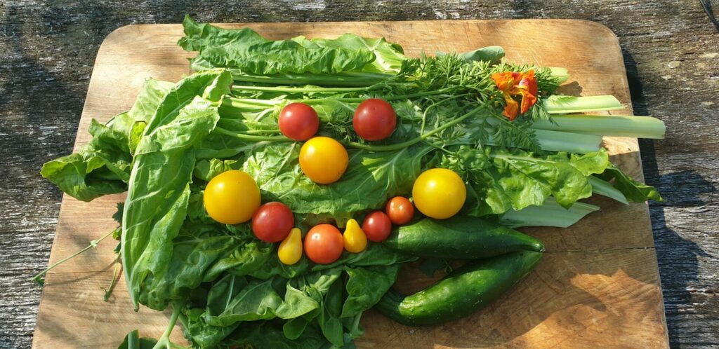 Aus Salat und Tomaten wurdeein Gesicht gebastelt. Der grüne Salat stellt den Kopf dar und mit Tomaten wurden Augen, Nase und Mund gelegt.
