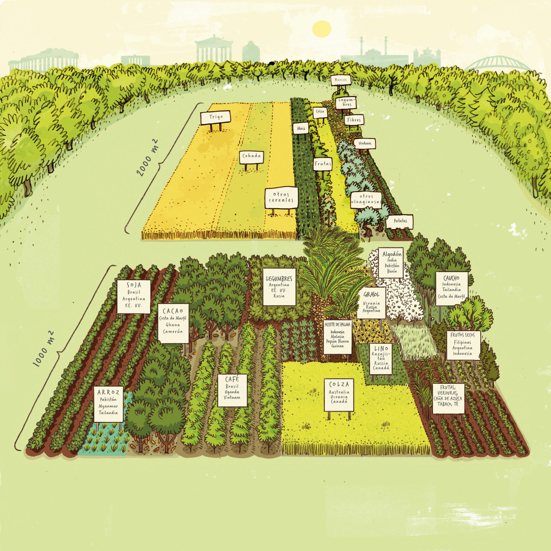 El diagrama muestra 2000 metros cuadrados de cultivos cultivados en Europa y otros 1000 metros cuadrados de importaciones europeas.