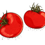 Tomaten Weltacker