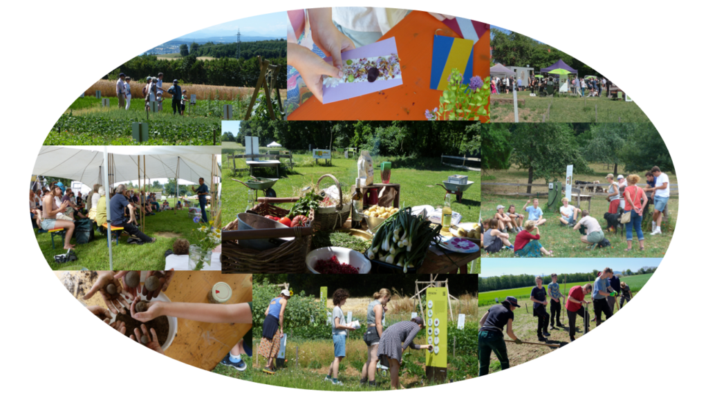 Fotocollage des Überlinger Weltackers