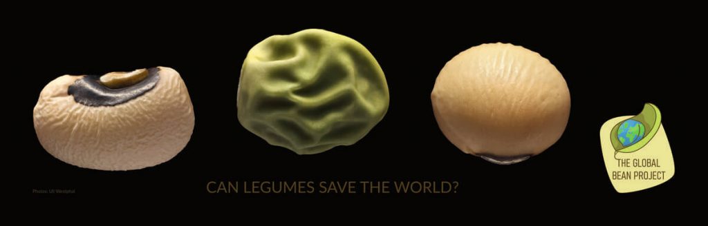 Banner - can legumes save the world?