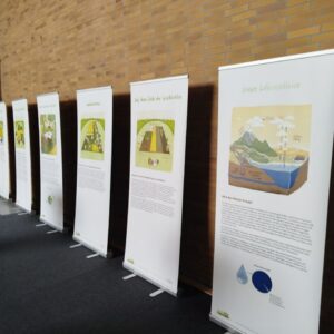 In einer langen Reihe stehen die Roll-Ups der Wanderausstellung.