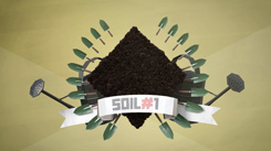 soil_1