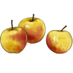 Äpfel Weltacker